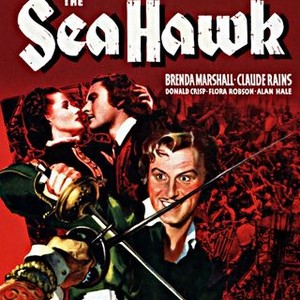The Sea Hawk photo 3