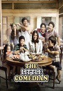 The Little Comedian poster image