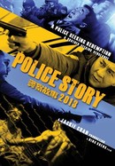 Police Story 2013 poster image