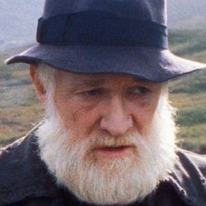 The Field (1990) photo 10