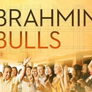"Brahmin Bulls photo 16"