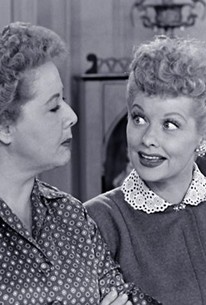 I Love Lucy: Season 2, Episode 26 - Rotten Tomatoes