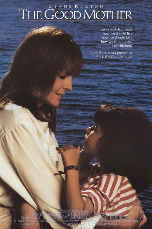 The Good Mother poster