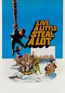 Live a Little, Steal a Lot poster image