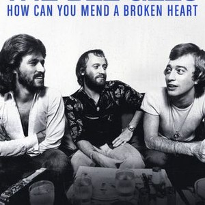 The Bee Gees: How Can You Mend a Broken Heart photo 14