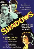 Shadows poster image