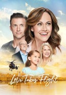 Love Takes Flight poster image