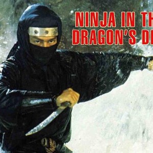 Ninja in the Dragon's Den photo 9