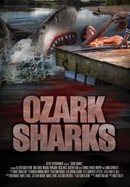 Ozark Sharks poster image