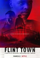 Flint Town poster image