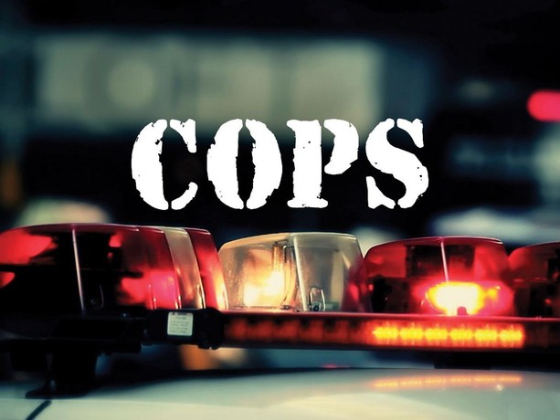 Cops: Season 12 | Rotten Tomatoes
