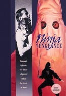 Ninja Vengeance poster image