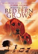 Where the Red Fern Grows poster image