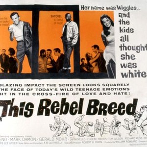 THIS REBEL BREED, Richard Rust, Al Freeman Jr., Dyan Cannon, 1960