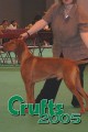 Crufts 2005