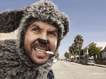 Wilfred Season 1 Rotten Tomatoes