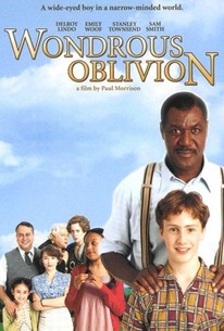 Poster for Wondrous Oblivion