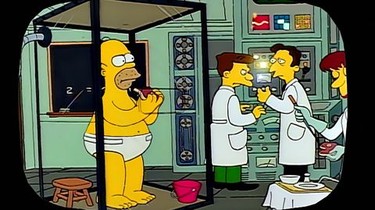 The Simpsons Season 1 Episode 7 Rotten Tomatoes