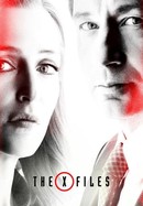 The X-Files poster image