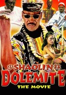Shaolin Dolemite: The Movie poster image
