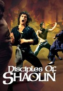 Disciples of Shaolin poster image