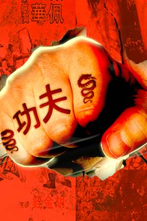 Iron Fists and Kung Fu Kicks poster