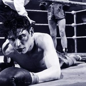 The Square Ring Rotten Tomatoes