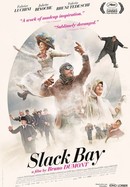 Slack Bay poster image