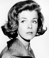 Laraine Stephens