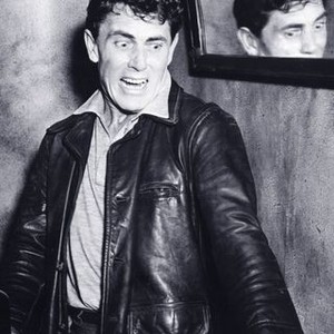 The Killer Shrews (1959) photo 11