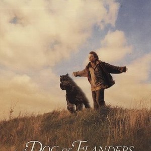 "A Dog of Flanders photo 10"