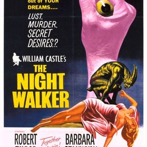 The Night Walker (1964) photo 13
