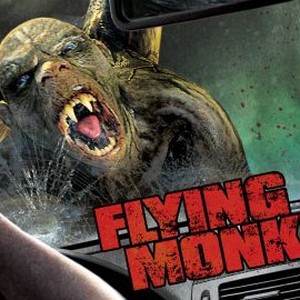 Flying Monkeys photo 10