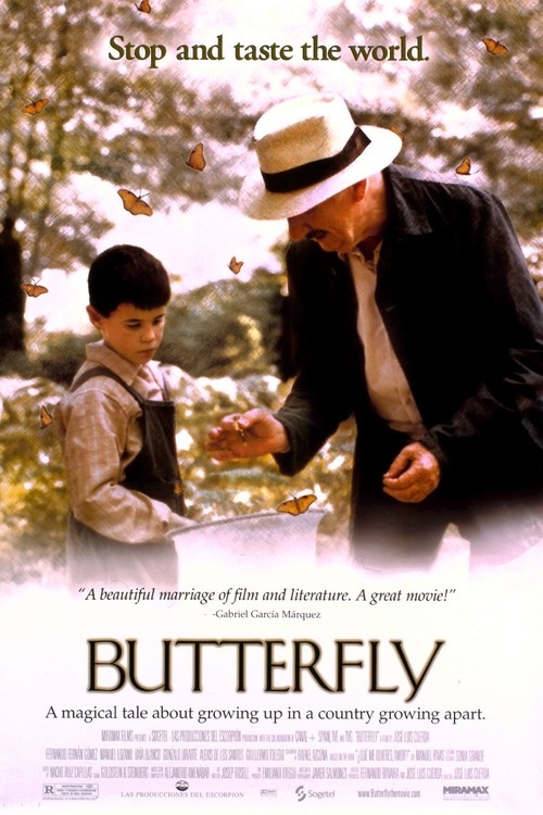 Butterfly poster