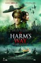 The Chinese Widow
