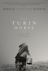 Poster for The Turin Horse