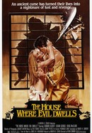 The House Where Evil Dwells poster image