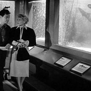 A scene from The Lady from Shanghai. photo 10