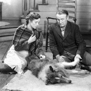 LASSIE COME HOME, Elsa Lanchester, Lassie, Donald Crisp, 1943