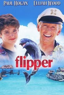 Flipper poster