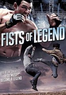 Fists of Legend poster image