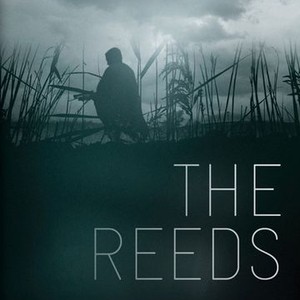 The Reeds photo 10