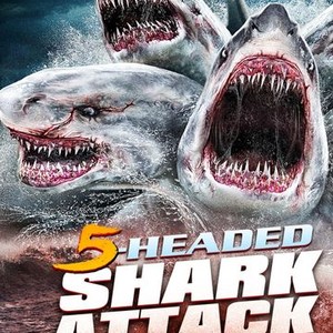"5-Headed Shark Attack photo 7"