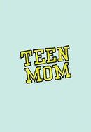 Teen Mom poster image