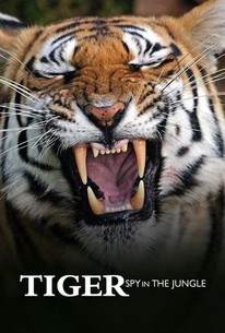 Tiger: Spy in the Jungle: Miniseries | Rotten Tomatoes