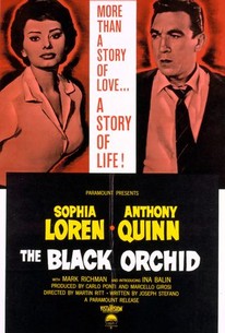 Poster for The Black Orchid
