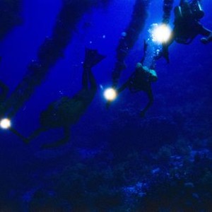 Cousteau Rotten Tomatoes