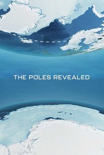 The Poles Revealed: Season 1 | Rotten Tomatoes