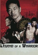 Legend of a Warrior poster image
