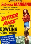 Bitter Rice poster image